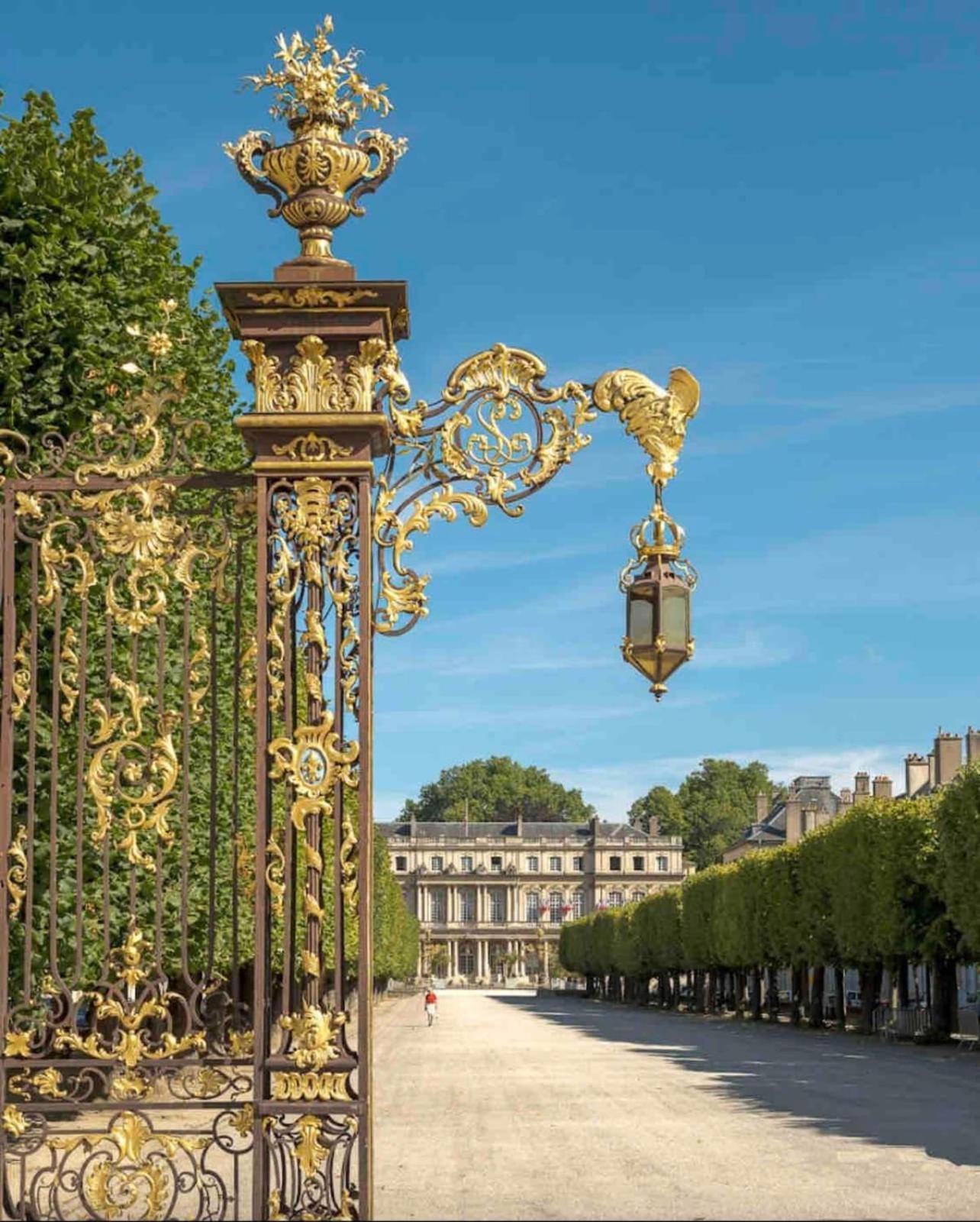 Le Dominicains Appartement Au Calme Aux Portes De La Place Stanislas Nancy Exteriér fotografie